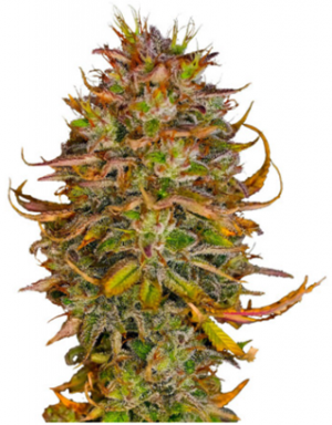 1712000476392.png 1712000476392.png