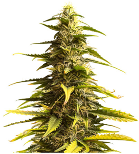 1712000490544.png 1712000490544.png