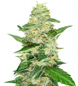 1712000508804.png 1712000508804.png