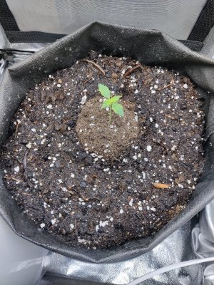 1000017190.jpg 1000017190.jpg