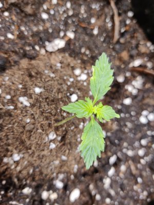 1000017191.jpg 1000017191.jpg