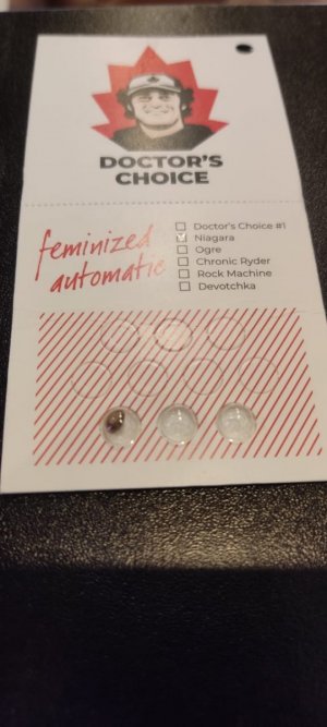 WhatsApp Image 2024-04-06 at 11.26.11 (1).jpeg WhatsApp Image 2024-04-06 at 11.26.11 (1).jpeg