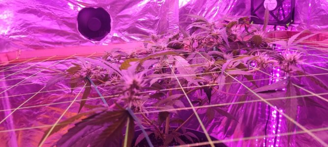 йцуацйа.jpg йцуацйа.jpg