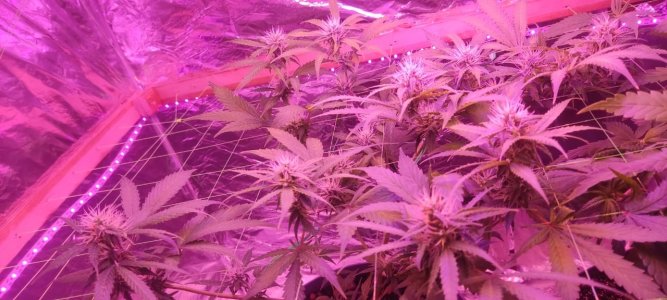 укацу.jpg укацу.jpg