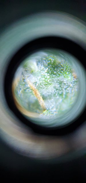 20240410_131022 — копия.jpg