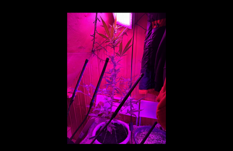 Снимок экрана 2024-04-11 в 09.11.59.png