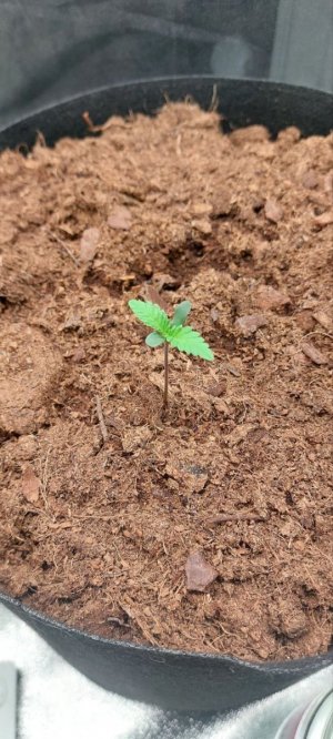 2024.04.11 - 3.1 день.jpg