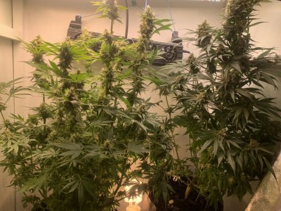 IMG_0978.jpeg IMG_0978.jpeg