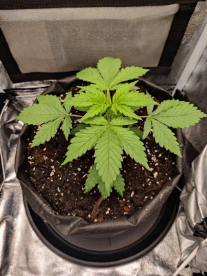 1000017716.jpg 1000017716.jpg