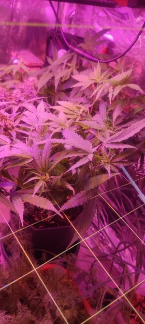 WhatsApp Image 2024-04-20 at 10.05.18 (1).jpeg WhatsApp Image 2024-04-20 at 10.05.18 (1).jpeg