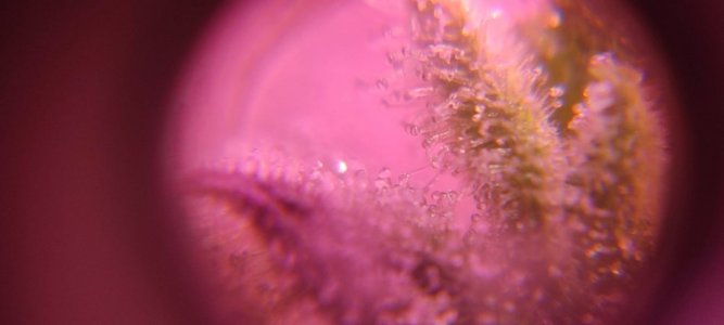 WhatsApp Image 2024-04-20 at 10.13.05.jpeg WhatsApp Image 2024-04-20 at 10.13.05.jpeg