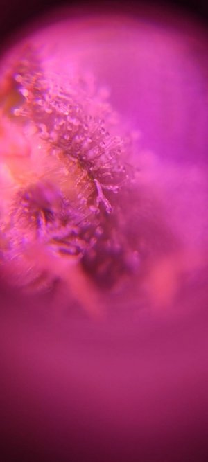 WhatsApp Image 2024-04-20 at 10.13.06.jpeg WhatsApp Image 2024-04-20 at 10.13.06.jpeg