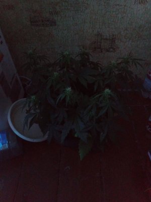 2024-04-22 201258.jpg