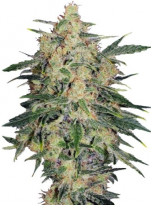 1713881353960.png 1713881353960.png