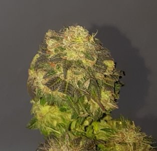 20240127_212506.jpg 20240127_212506.jpg