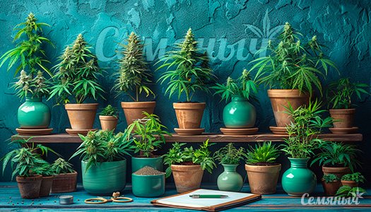 1714212206336.jpeg 1714212206336.jpeg