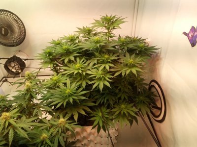 2024-05-02 080754.jpg