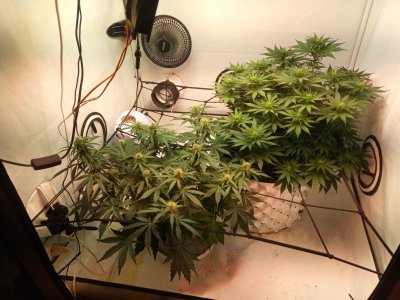 2024-05-02 080809.jpg