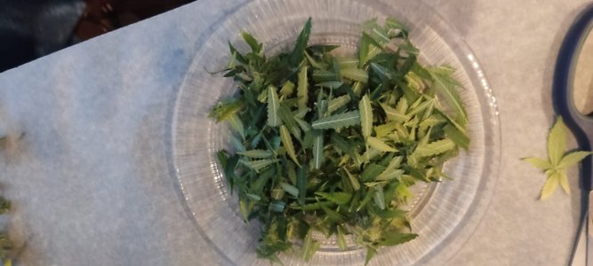 WhatsApp Image 2024-05-02 at 14.57.23 (2).jpeg