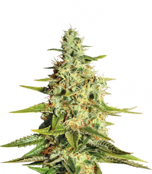 1714729191490.png 1714729191490.png