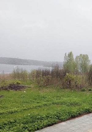 d234c255-a4b1-46a8-bca5-bb850115d89e.jpeg d234c255-a4b1-46a8-bca5-bb850115d89e.jpeg