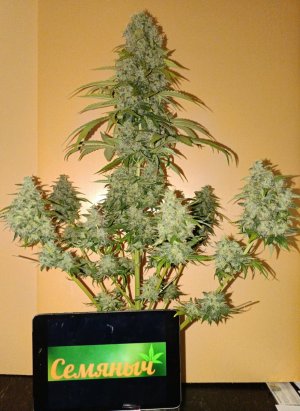 8F35A9AE-14EF-4D47-842F-D92798DA4DC0.jpeg 8F35A9AE-14EF-4D47-842F-D92798DA4DC0.jpeg