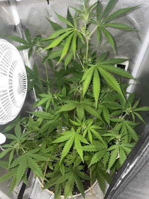 IMG_3688.jpeg IMG_3688.jpeg