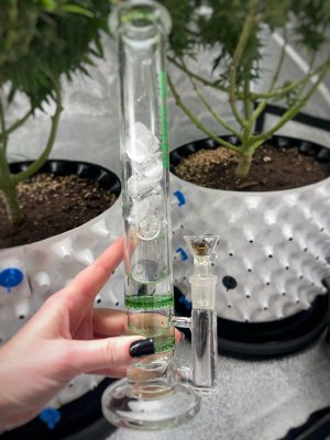 IMG_7545.jpeg IMG_7545.jpeg