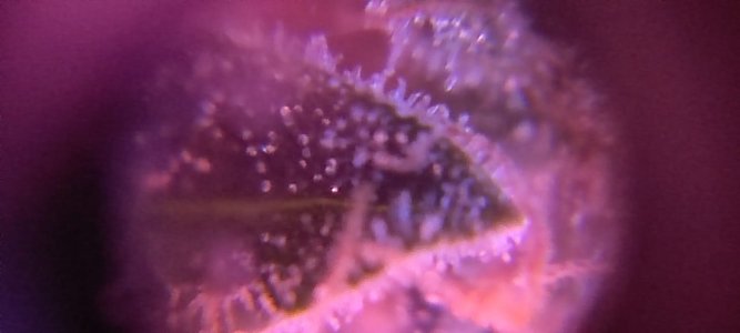 WhatsApp Image 2024-05-18 at 13.34.28.jpeg WhatsApp Image 2024-05-18 at 13.34.28.jpeg