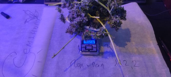 WhatsApp Image 2024-05-18 at 13.06.04.jpeg WhatsApp Image 2024-05-18 at 13.06.04.jpeg