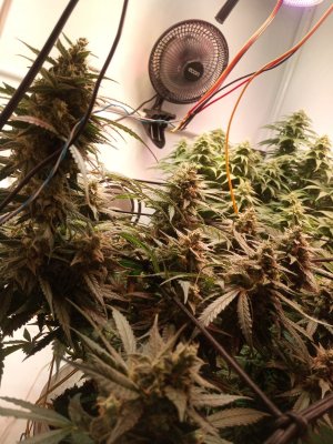 2024-05-24 133953.jpg