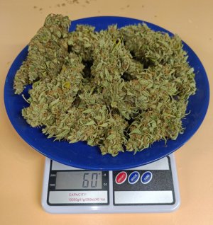 IMG_20240523_114040.jpg IMG_20240523_114040.jpg