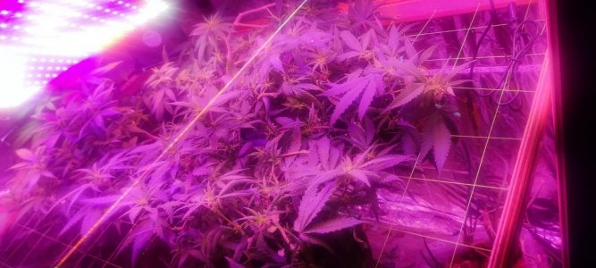 WhatsApp Image 2024-05-26 at 11.34.10.jpeg