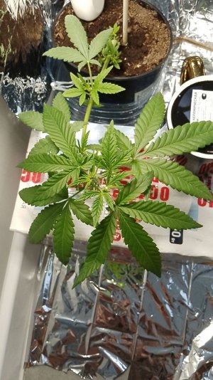 photo_2024-05-26_13-01-46 (1).jpg