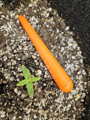 20240527_152444.jpg 20240527_152444.jpg