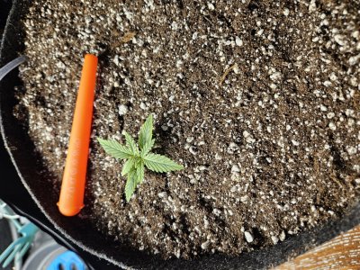 20240527_151717.jpg 20240527_151717.jpg