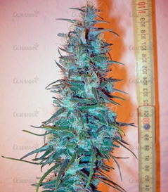 1645806485108.png 1645806485108.png