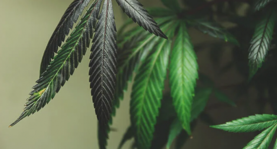 1646737521748.png 1646737521748.png