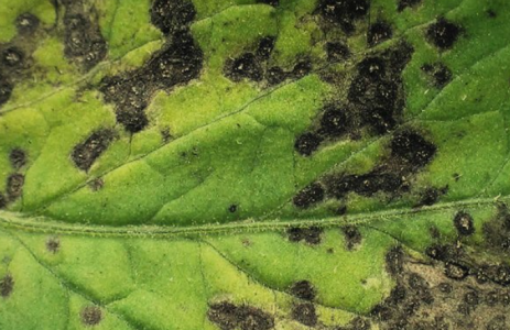 1647107734694.png 1647107734694.png