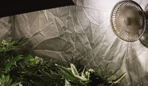 1647107877347.png 1647107877347.png