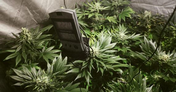 1647107933585.png 1647107933585.png