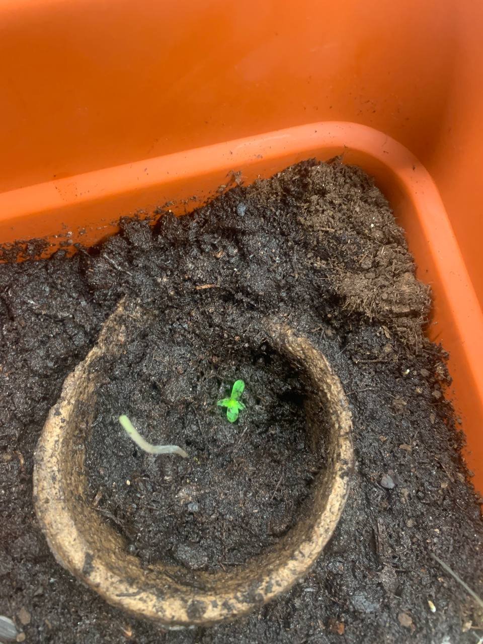 IMAGE 2022-03-13 17:49:20.jpg