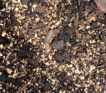 IMG_5628 — копия.jpg IMG_5628 — копия.jpg