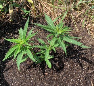 IMG_5664 — копия.jpg