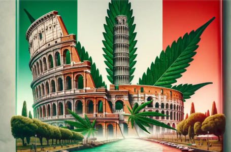 1719156939843.png 1719156939843.png