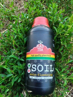 IMG_20240707_195113.jpg IMG_20240707_195113.jpg