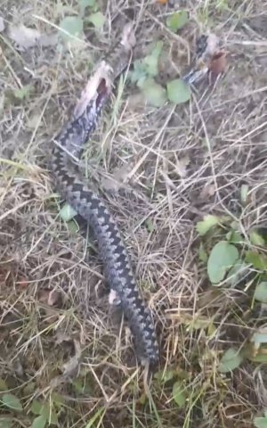 IMG_3006.jpeg IMG_3006.jpeg