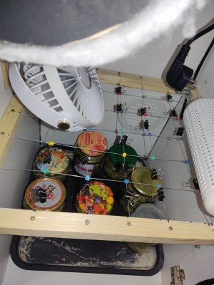 IMG_20240729_195020.jpg IMG_20240729_195020.jpg