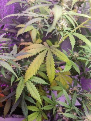 photo_5278550038856981304_y.jpg photo_5278550038856981304_y.jpg