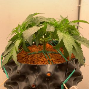 FullSizeRender (8).jpg